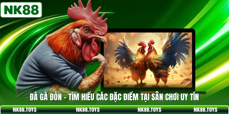 Đá Gà Đòn - Tìm Hiểu Các Đặc Điểm Tại Sân Chơi Uy Tín