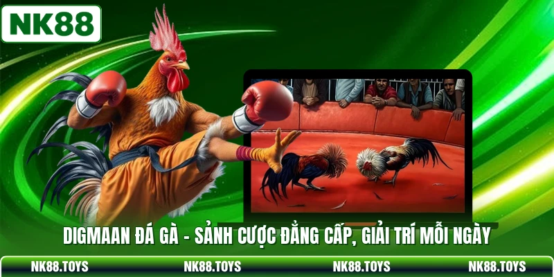 Digmaan Đá Gà - Sảnh Cược Đẳng Cấp, Giải Trí Mỗi Ngày