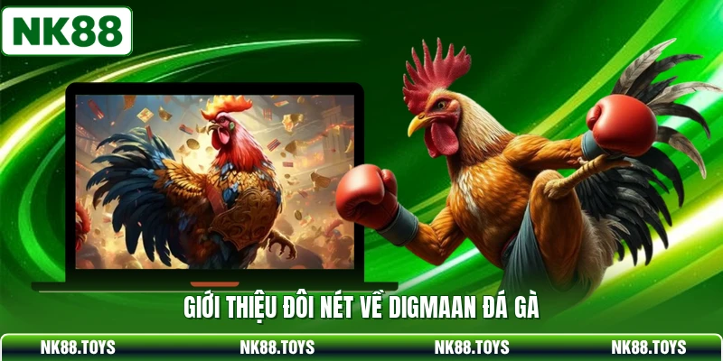 Giới thiệu đôi nét về Digmaan đá gà 