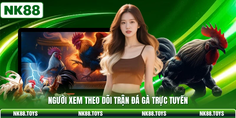 Người xem theo dõi trận đá gà trực tuyến