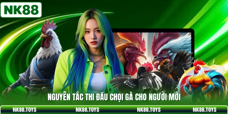 Nguyên tắc thi đấu chọi gà cho người mới
