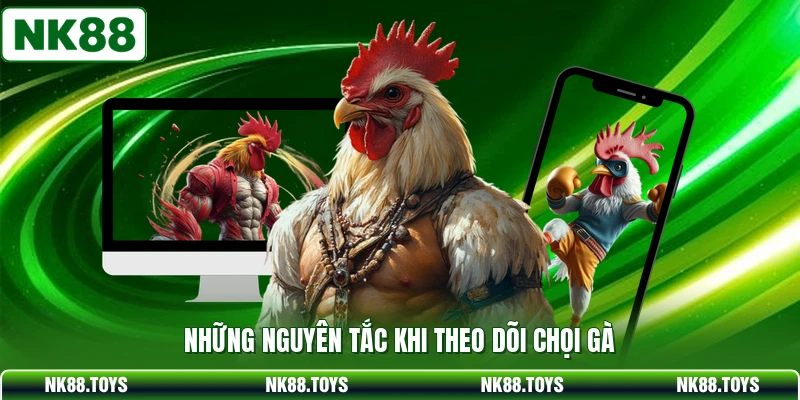 Những nguyên tắc khi theo dõi chọi gà