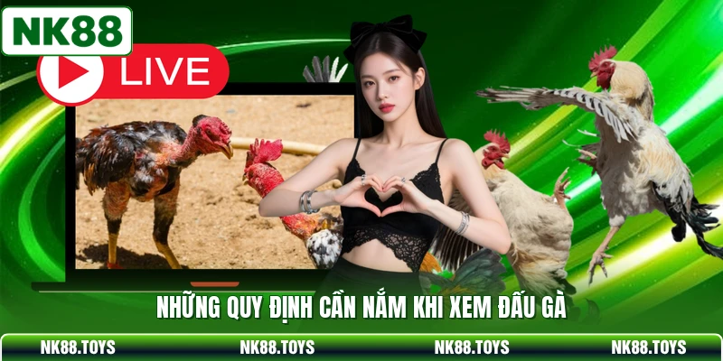 Những quy định cần nắm khi xem đấu gà