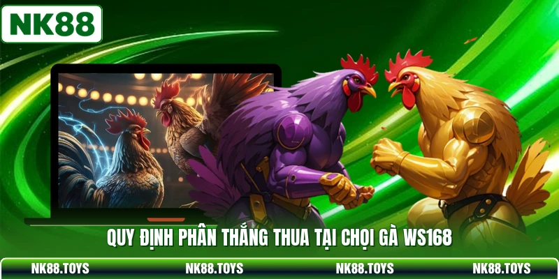 Quy định phân thắng thua tại chọi gà ws168