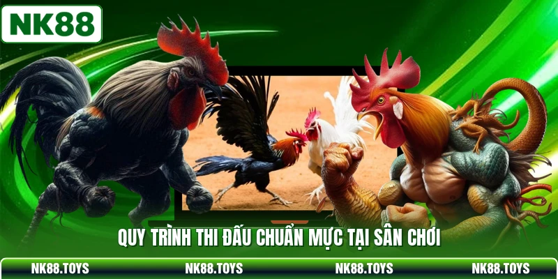 Quy trình thi đấu chuẩn mực tại sân chơi