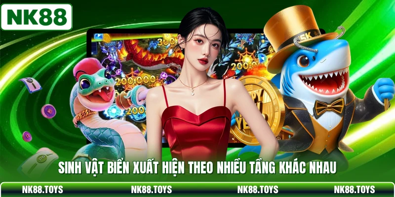 Sinh vật biển xuất hiện theo nhiều tầng khác nhau