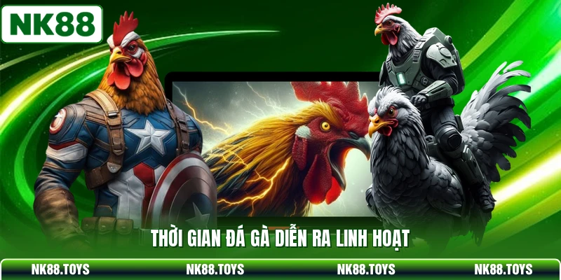 Thời gian đá gà diễn ra linh hoạt