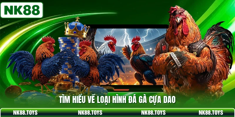 Tìm hiểu về loại hình đá gà cựa dao